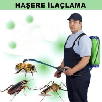 Payamlı Böcek İlaçlama